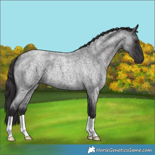 Horse Color:Smoky Blue Chinchilla Roan 