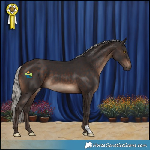 Horse Color:Silver Brown