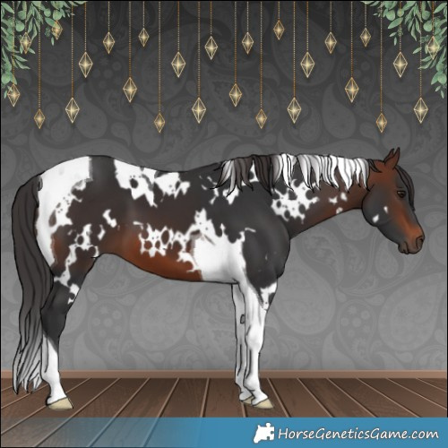 Horse Color:White Spotted Brown Tobiano 