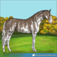 Horse Color:White Spotted Silver Smoky Black 