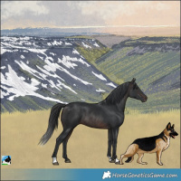 Horse Color:Brown Mushroom Rabicano