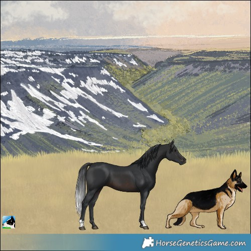 Horse Color:Brown Mushroom 