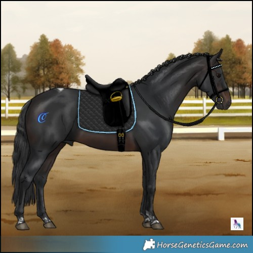 Horse Color:Brown Tobiano 