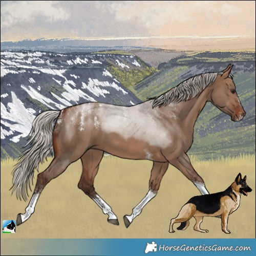 Horse Color:Powder White Silver Brown Dun Tobiano 