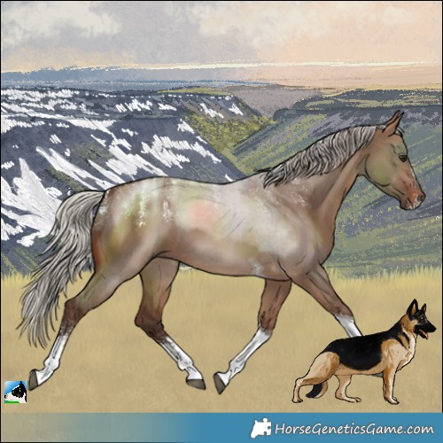 Horse Color:Powder White Silver Brown Dun Tobiano 