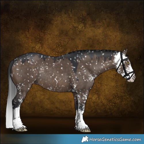 Horse Color:Brown Dun Sabino Snowflake VarnishRabicano