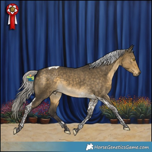 Horse Color:Silver Buckskin Dun Tobiano