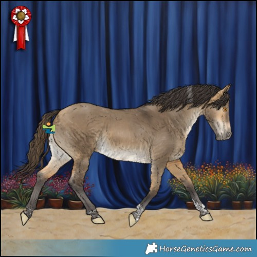 Horse Color:Buckskin Dun Tobiano