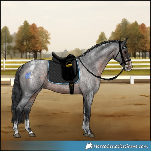 Horse Color:Powder White Brown Roan