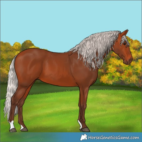 Horse Color:Silver Bay 