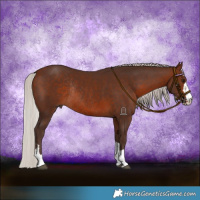 Horse Color:Silver Brown Rabicano