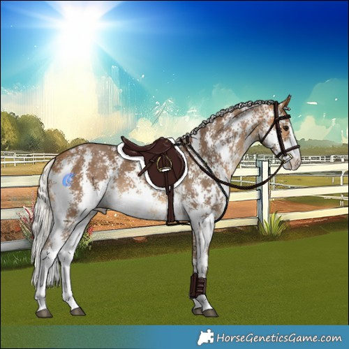 Horse Color:Silver Buckskin Sabino Rabicano