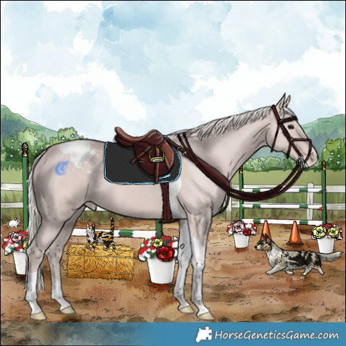 Horse Color:Silver Black Tobiano Varnish