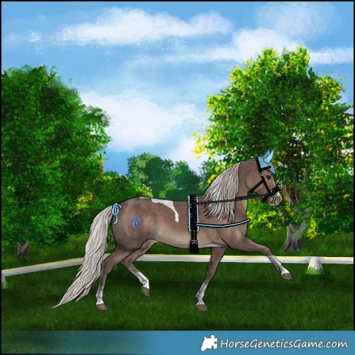 Horse Color:Silver Black Sabino Tobiano 