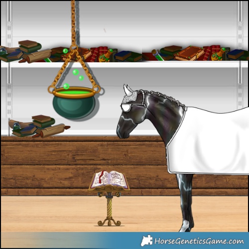 Horse Color:Midnight Silver Black