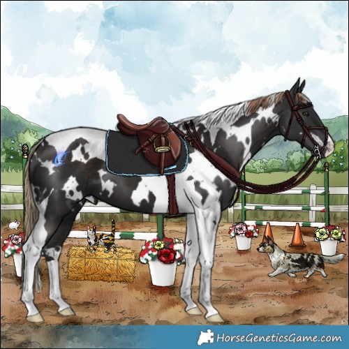 Horse Color:White Spotted Liver Chestnut Tobiano 