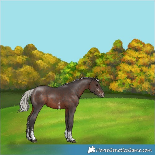 Horse Color:Silver Brown Sabino