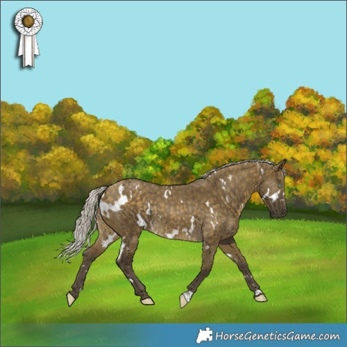Horse Color:White Spotted Silver Buckskin Dun Rabicano Brindle 