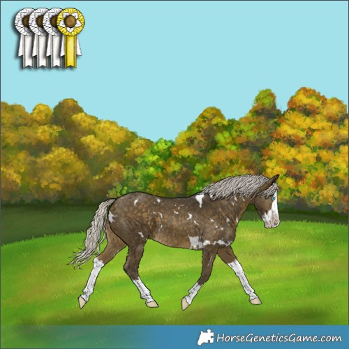 Horse Color:White Spotted Silver Buckskin Splash