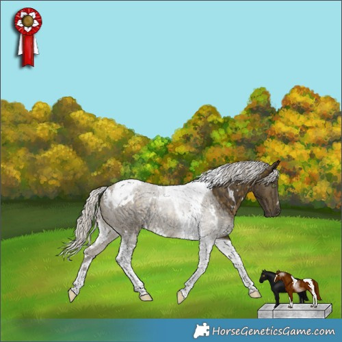 Horse Color:White Spotted Silver Buckskin Tobiano 