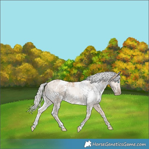 Horse Color:White Spotted Silver Perlino 