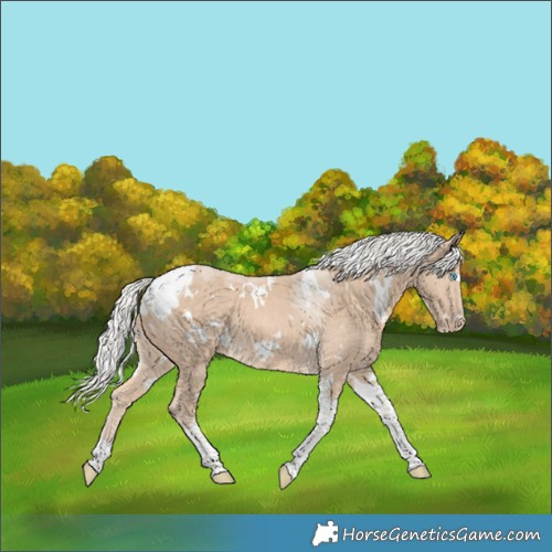 Horse Color:White Spotted Silver Perlino Tobiano 