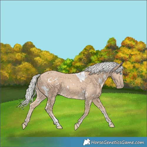 Horse Color:White Spotted Silver Perlino 