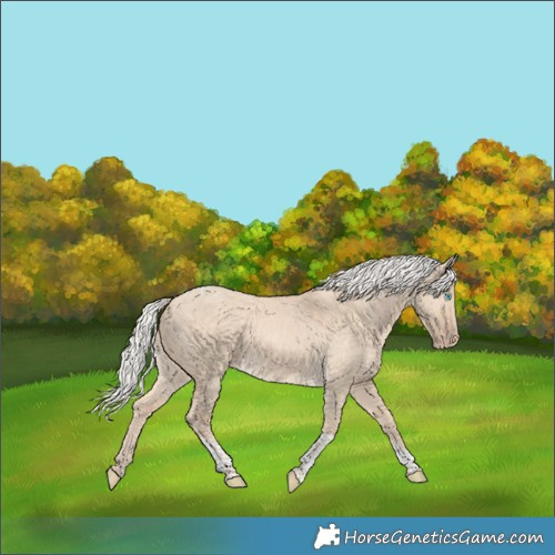 Horse Color:Silver Perlino Dun Tobiano Rabicano 