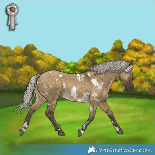 Horse Color:White Spotted Silver Buckskin Dun Rabicano 