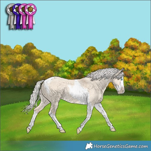 Horse Color:Silver Perlino Dun Splash Tobiano Rabicano 