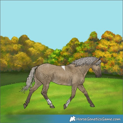 Horse Color:Silver Smoky Grullo Tobiano Rabicano Brindle 