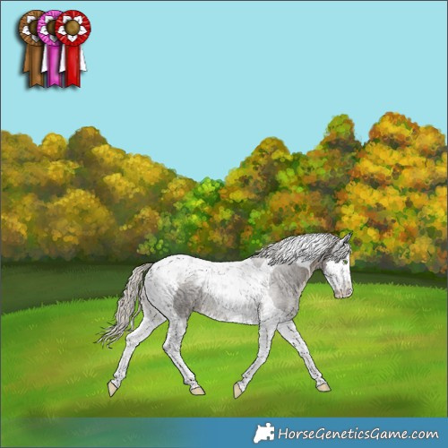 Horse Color:Silver Smoky Black Splash Tobiano 