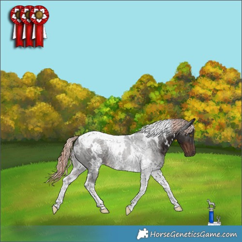 Horse Color:White Spotted Liver Chestnut Tobiano 