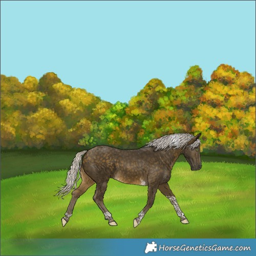 Horse Color:Silver Buckskin Tobiano 