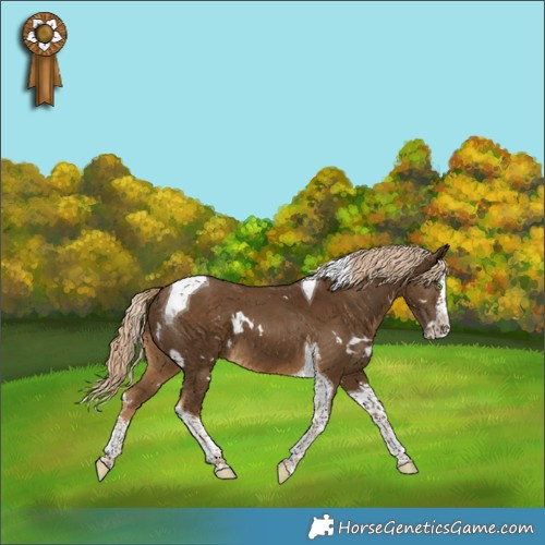 Horse Color:White Spotted Chocolate Palomino Splash Tobiano 