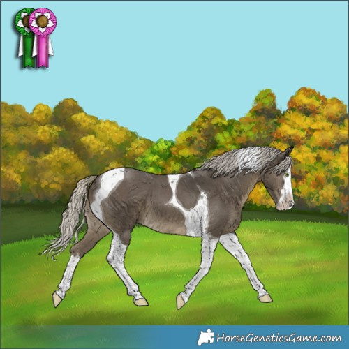 Horse Color:Silver Smoky Black Splash Tobiano 