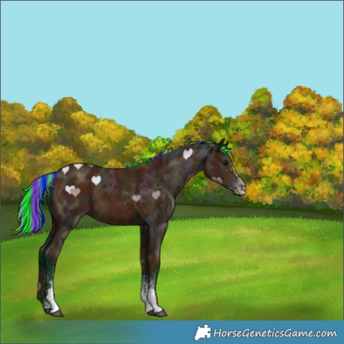 Horse Color:Painted Watercolor White Spotted Midnight Bay Ice 