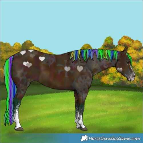 Horse Color:Painted Watercolor White Spotted Midnight Bay Ice 