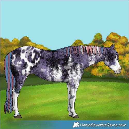 Horse Color:Painted Watercolor White Spotted Grullo Ice Tobiano Appaloosa 