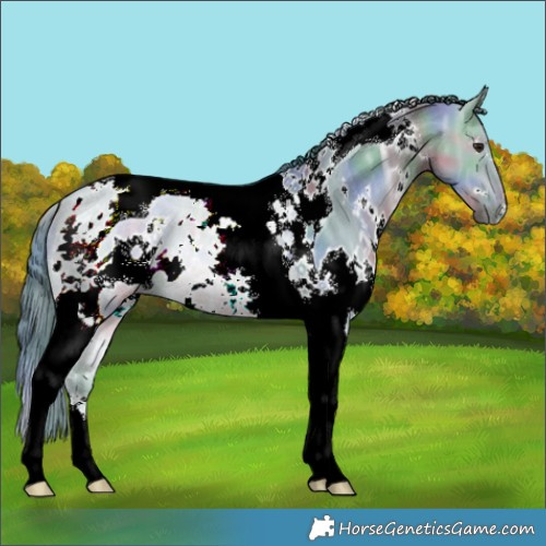 Horse Color:Nacre Watercolor White Spotted Brown Ice Dun Tobiano 