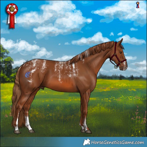 Horse Color:Powder White Chestnut 