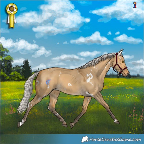 Horse Color:White Spotted Silver Buckskin Dun 