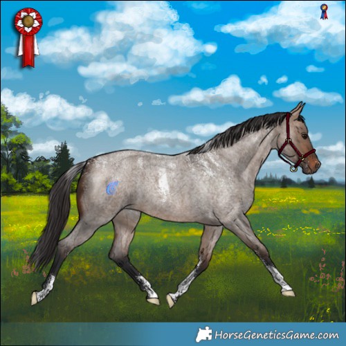 Horse Color:Powder White Brown Roan Dun