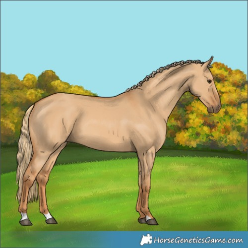 Horse Color:Red Dun 