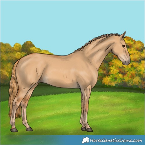 Horse Color:Red Dun 