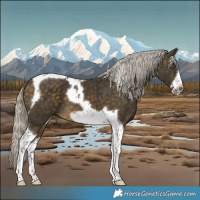 Horse Color:Silver Buckskin Tobiano Frame