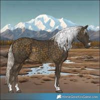 Horse Color:Silver Buckskin Tobiano