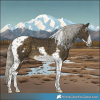 Horse Color:Silver Buckskin Tobiano Frame