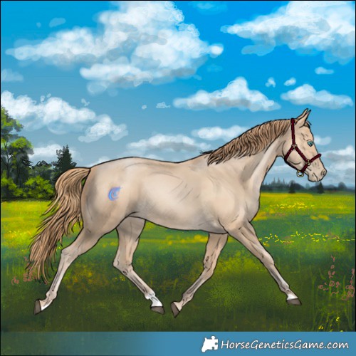 Horse Color:Smoky Black Snowdrop Rabicano 