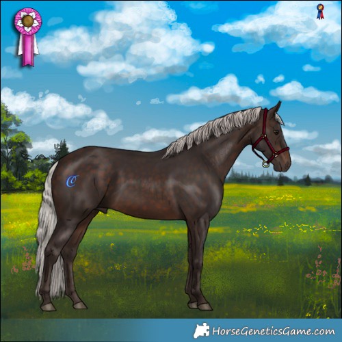 Horse Color:Silver Brown